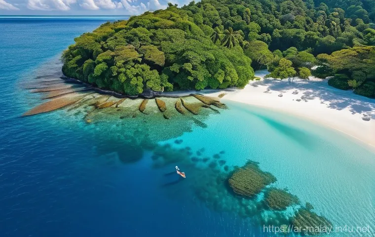 말레이시아의 코타키나발루 명소 - **Prompt:** A vibrant aerial view of a pristine tropical island from Tunku Abdul Rahman Marine Park,...